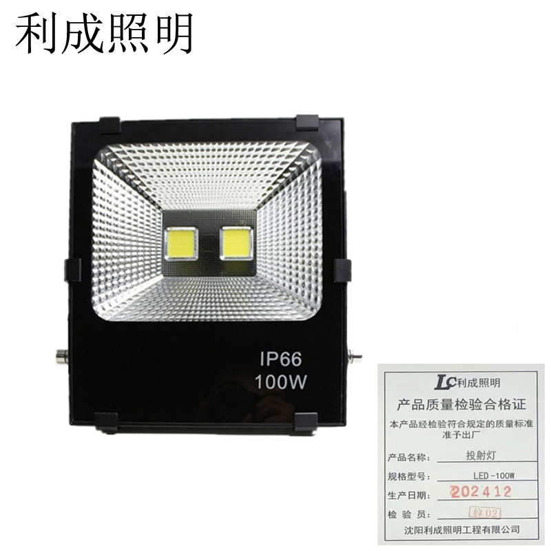利成照明 投射灯 LED-100W高清大图