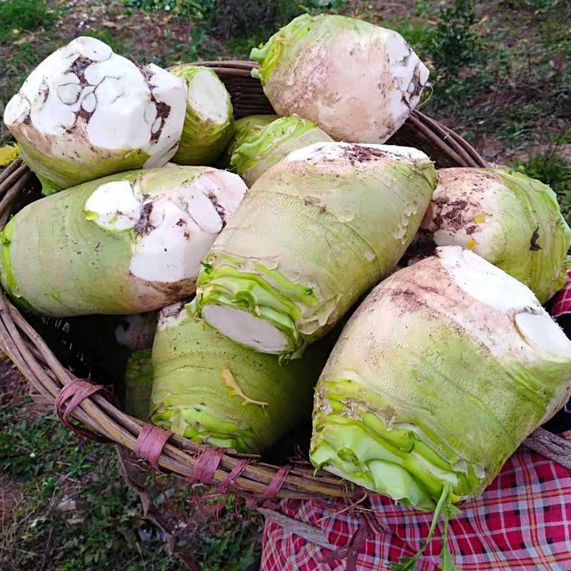 贵州原味大头菜丝遵义特产坛子菜芥菜丝大头萝卜丝农家菜500g1斤装