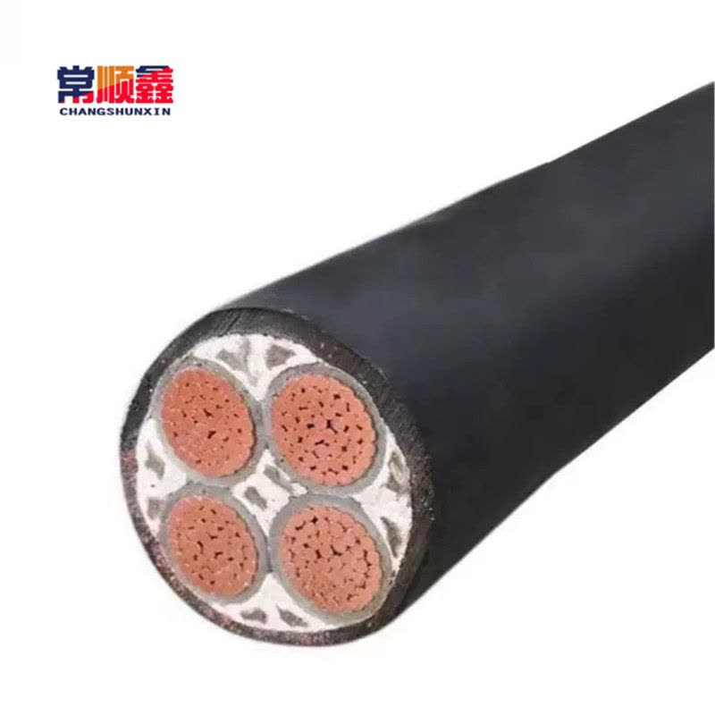 常顺鑫 阻燃低压铜芯铠装电缆ZC-YJV4×25 米图片