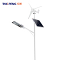 韬鹏TAOPENG 太阳能路灯 60w 6米 套