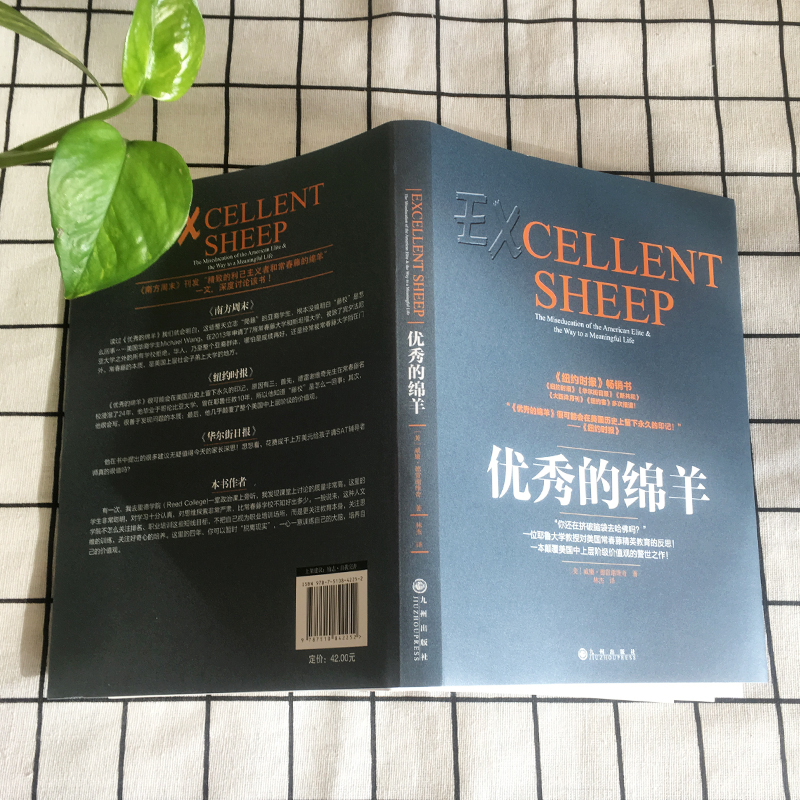 [醉染正版]正版 优秀的绵羊《新京报》2016年年度好书 《罗辑思维》3次 精英教育 出国留学 何帆北大读书俱乐部自我高清大图