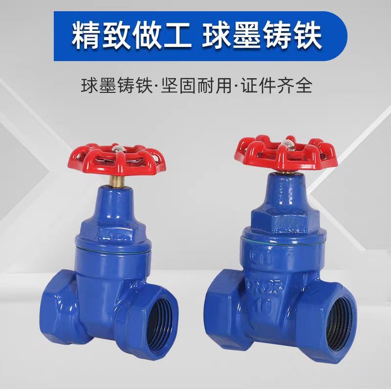 中锦科技 软密封丝扣闸阀 多功能闸阀Z15X-16Q DN32 台高清大图