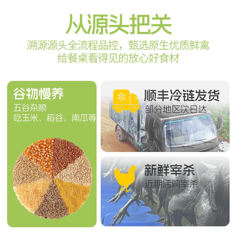 [苏鲜生推荐]三物纪白羽乌鸡800g/只 1只装新鲜现杀冷冻肉质鲜美农家慢养整只顺丰发货高清大图