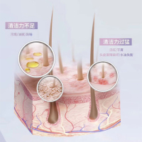 浅香多效合一温和滋养洗手洗发沐浴露深层清洁保湿滋润防敏低泡设计适合全家使用