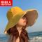 帽子女夏季遮阳帽渔夫帽大帽檐遮脸太阳帽防晒