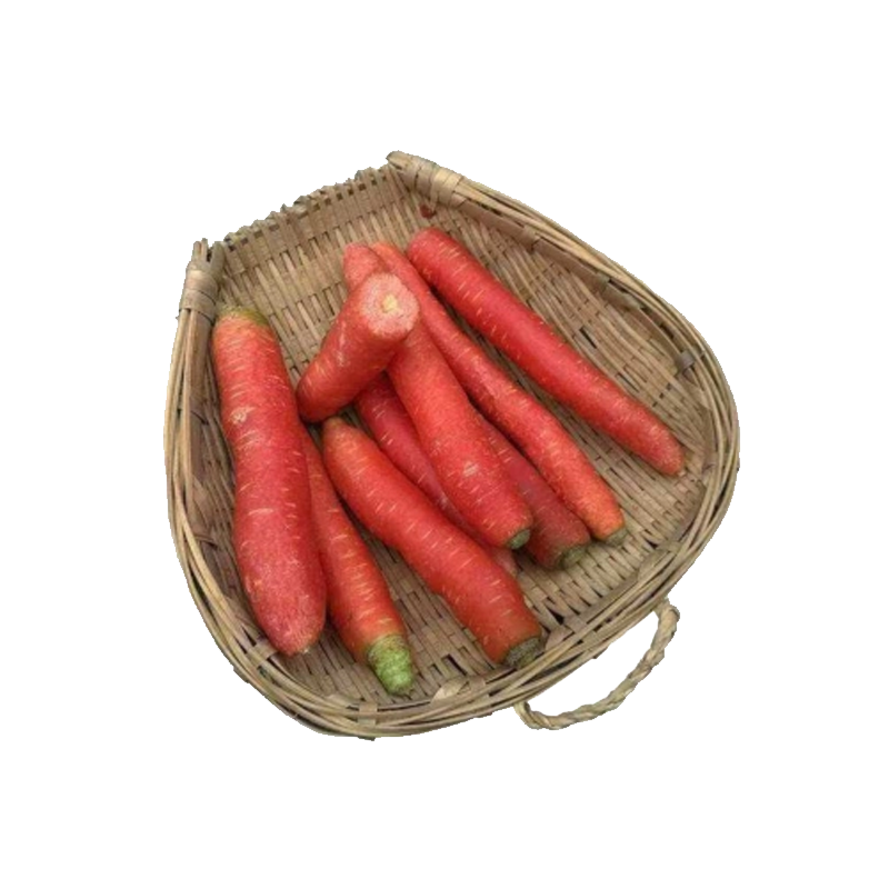 [西沛生鲜]新鲜红萝卜 9斤 红萝卜水果胡萝卜新鲜红罗卜蔬菜生吃水果