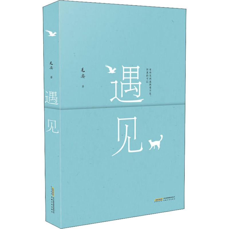 醉染图书遇见9787539663371