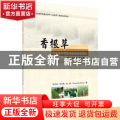 香根草对水体中农药污染的修复研究:以除草剂扑草净为例