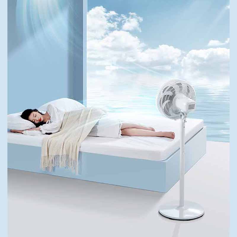 泰迪信 SDE30ET 移动智家智能风扇 1 台高清大图