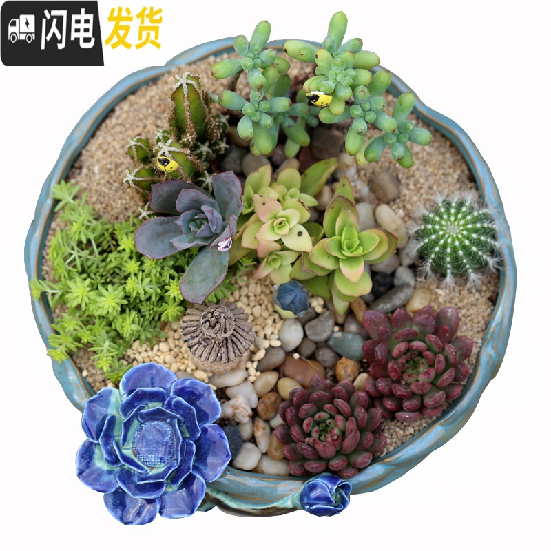 三维工匠大口径多肉花盆陶瓷透气肉肉绿植拼盘粗陶特大号 2个紫砂盆 中等花盆容器
