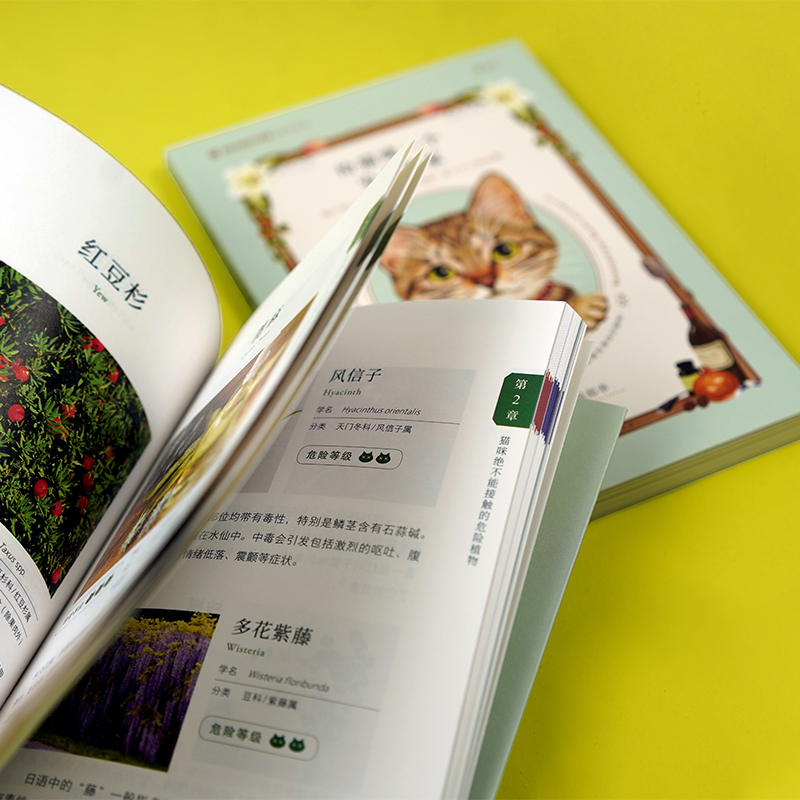 给猫咪一个安全的家 [正版] 给猫咪一个安全的家 猫咪居家安全手册 宠物猫咪饲养指南高清大图