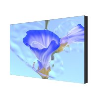 洲明 全彩LED显示屏UM1.25Pro 0.1平方米