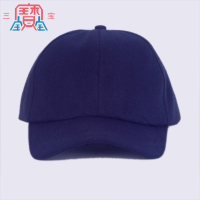 三宝 防护帽硬塑衬 LS-FH01 蓝色 布面
