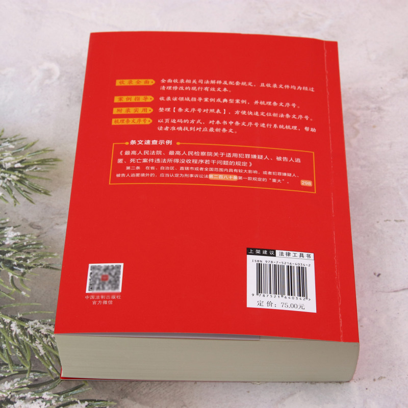 [正版]2024年新版 刑事诉讼法及司法解释全编 条文速查小红书 中国法制出版社9787521640342 书店书籍高清大图