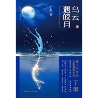 乌云遇皎月（全二册）（高人气作家丁墨全新悬爱力作，迷雾重重，烧脑升级。）