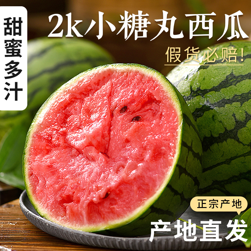 【熊猫鸟】山东小糖丸2K西瓜 3-3.5斤 1-2个装