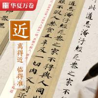 透明练 近距离练字纠错卡 楷书 教程版(赠1本书法本) [正版]毛笔书法近距离临摹字卡楷书灵飞王羲之行书兰亭序临帖赵孟俯