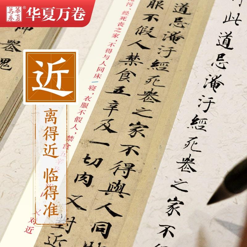 透明练 近距离练字纠错卡 楷书 教程版(赠1本书法本) [正版]毛笔书法近距离临摹字卡楷书灵飞王羲之行书兰亭序临帖赵孟俯