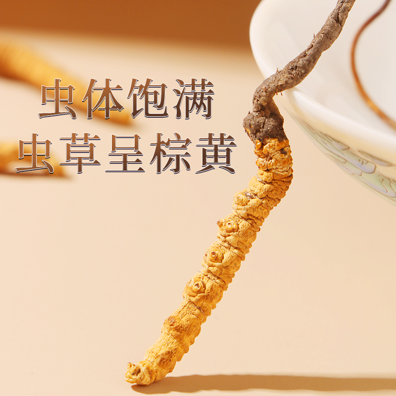 [1盒装]北京同仁堂冬虫夏草滋补干货1g/盒非鲜虫草正品头期虫草干货年货送礼滋补盒装高清大图