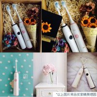 飞利浦（Philips） 电动牙刷 HX3226/41 成人充电式 23000频次声波震动 智能计时呵护牙龈牙齿 樱花粉