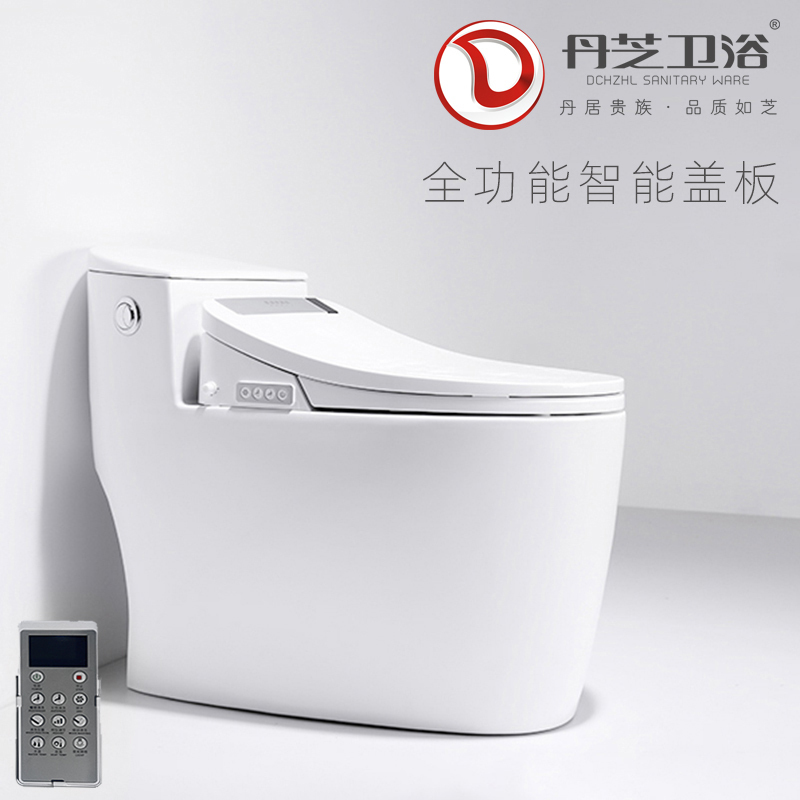 丹芝卫浴DZ9019陶瓷冲落式家用抽水马桶地排直冲直排翻板式坐便器防堵塞超节水直落式翻斗式防臭防漏卫生间坐厕 300MM