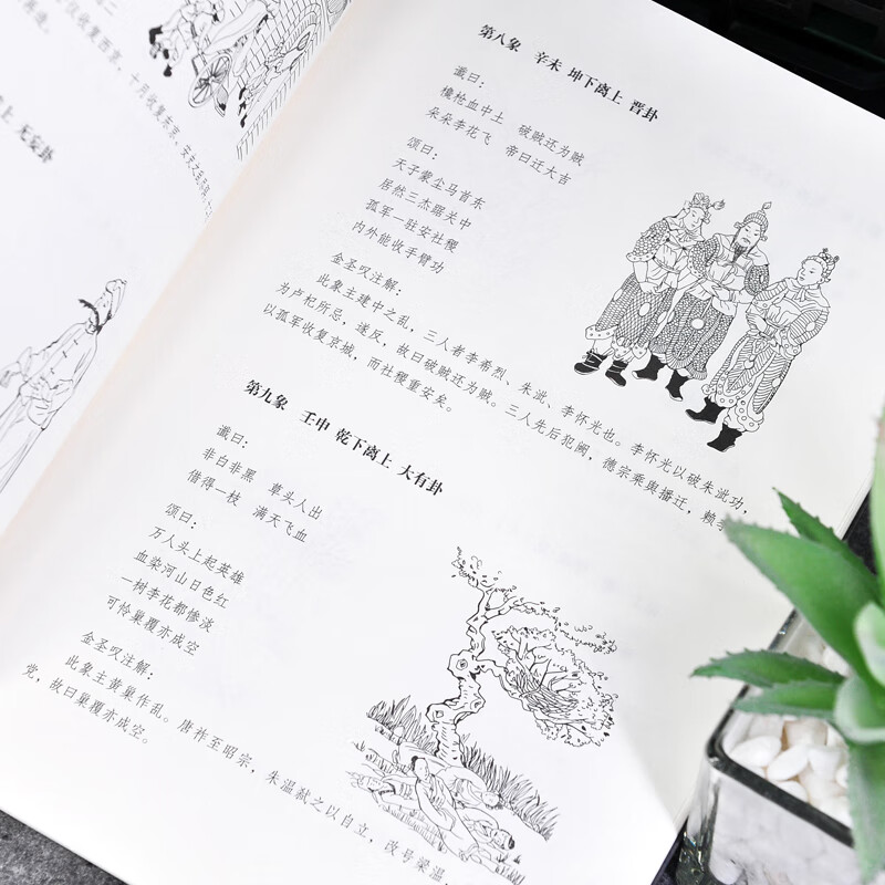 [正版]袁天罡传 唐太宗国师 预言武则天称帝 推背图袁天罡传奇的一生神秘的身世 星象学家 解开历史人物背后的种种谜团高清大图