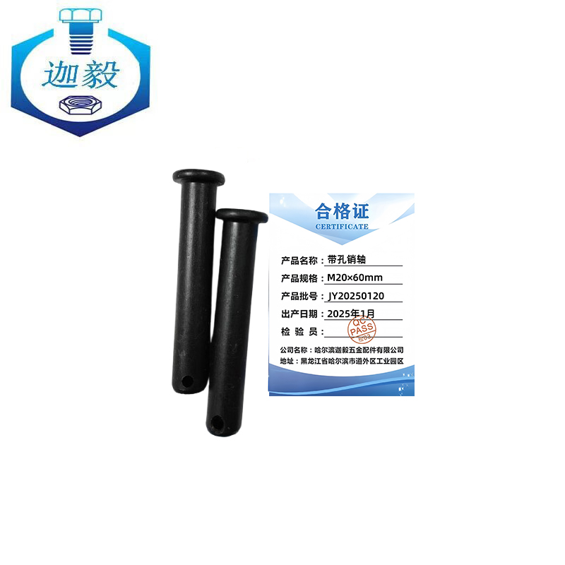 迦毅带孔销轴M20×60mm个高清大图