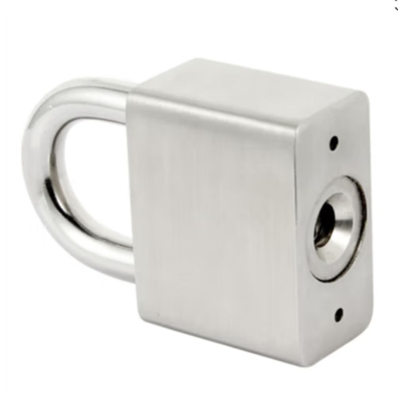 鸿灵睿芯 GS04 不锈钢 30mm*20mm 挂锁 (计价单位:个)银色高清大图