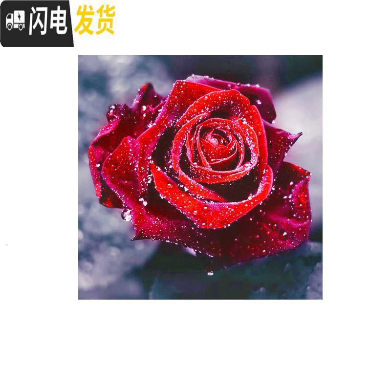 三维工匠2020新款5D钻石画客厅满钻玫瑰简单自己绣十字绣粘贴异形 【框+画】【满钻全贴50*50厘米】画+框组合更优惠