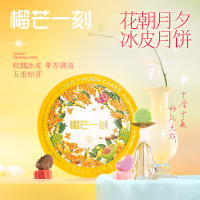 榴芒一刻 缤纷口味冰皮月饼550g*1