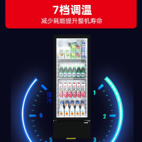 星星(XINGX)LSC-310YPE 299升 立式冰柜 保鲜柜 饮料柜 商用冷藏展示柜 商店超市便利店