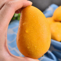 鲜知臻食 广西小台芒9斤精品礼盒