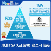 爱益森儿童益生菌小黄盒2g*12条整盒