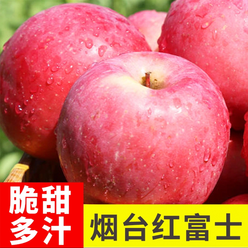 正宗烟台红富士苹果 9.5-10斤带箱 单果80-85mm 新鲜水果 陈小四水果 山东烟台苹果