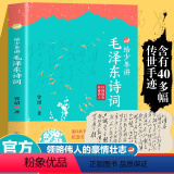 给少年讲毛泽东诗词 【正版】给少年讲毛泽东诗词 130周年诞辰纪念一起走进毛泽东与古代文人的世界毛泽东诗词全集毛泽少毛泽