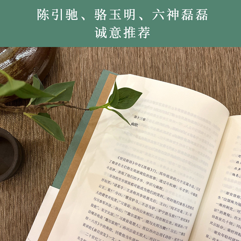 戴建业精读世说新语 [正版]戴建业精读世说新语 戴建业 深入浅出讲透《世说新语》魏晋名士趣事 魏晋风流 古代文学 出品