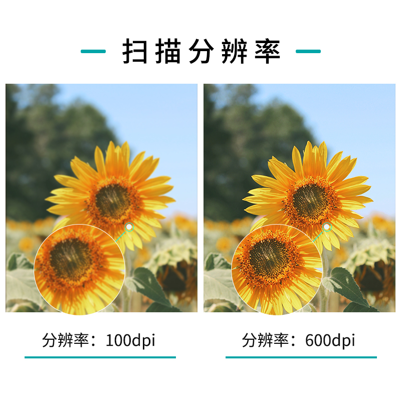 立思辰(LANXUM)扫描仪G7320U、A3幅面、彩色馈纸式扫描仪、自动进纸、自动双面扫描高清大图