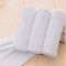 东纺拾光DF1044 五星酒店进口棉毛巾 40*80cm 180g(计价单位:条)白色