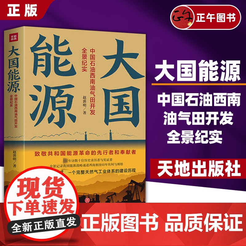 书正版书籍]大国能源 中国石油西南油气田开发全景纪实 赵郭明 完整的天然气工业体系建立 纪实报告文学 天地出版社高清大图