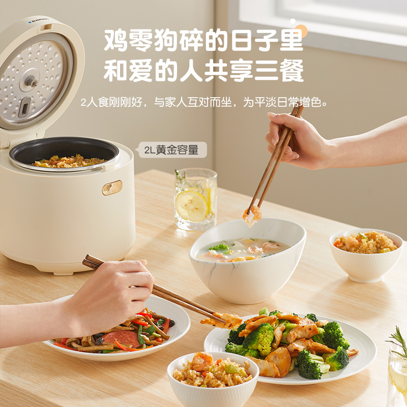 蓝宝(BLAUPUNKT)电饭煲电饭锅2-3人2升小型家用迷你智能煮饭锅