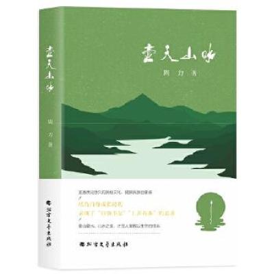11壶天山水978753174863222