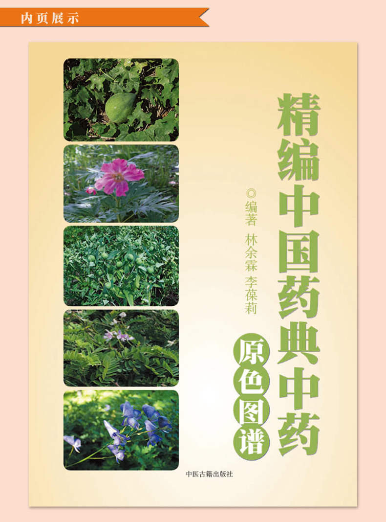 [正版]全3册精编中草药+本草纲目+中国药典中药原色图谱 中草药全图鉴速查手册图谱中国药材图鉴大全常用中草药识别应用中高清大图