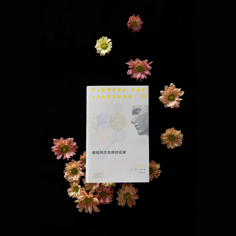 醉染图书献给阿尔吉侬的花束9787555913726高清大图