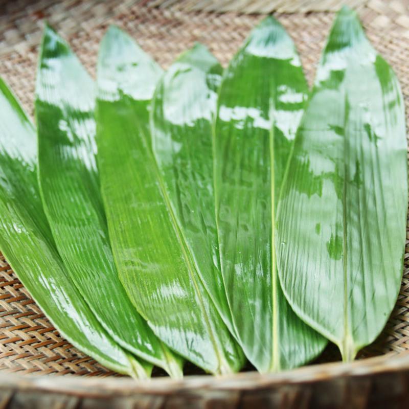 叶新鲜粽叶真空竹叶天然野生大粽叶包粽子叶粽叶子粽子