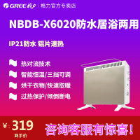 格力电暖器 NBDB-X6020防水居浴两用 快热炉家用暖气片电暖气