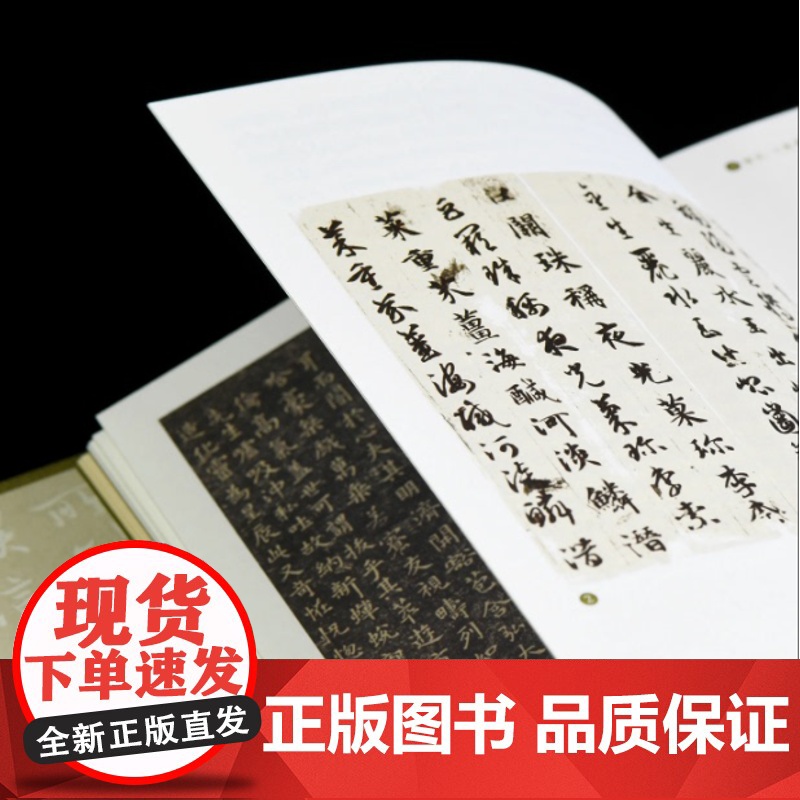 王羲之:六朝贵族的世界 [日]吉川忠夫著 海外中国研究丛书·艺术系列全景式展现“六朝顶流”王羲之波澜壮阔的一生江苏人民出高清大图