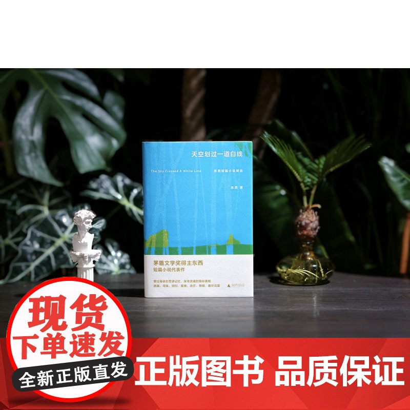天空划过一道白线: 东西短篇小说精选 东西/著 茅盾文学奖 荒诞 身体 救赎 广西师范大学出版社高清大图