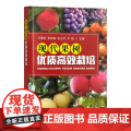 现代果树优质高效栽培