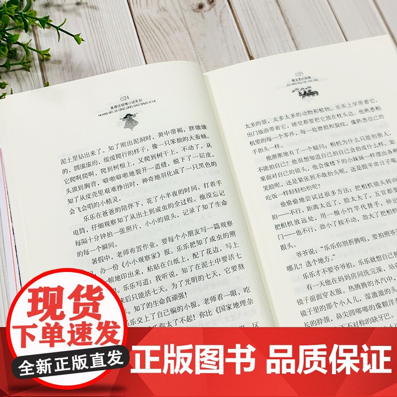 最温柔的眼睛 正版黄蓓佳倾情小说 黄蓓佳短篇散文集为心灵点起一盏灯高清大图