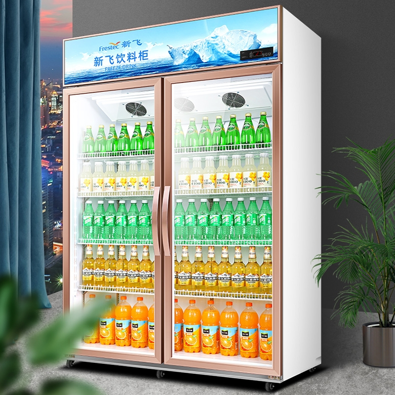 新飞双门冷藏展示柜单门饮料柜冰箱商用超市保鲜冰柜三门啤酒柜_单门
